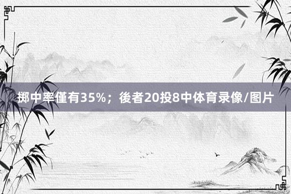 掷中率僅有35%；後者20投8中体育录像/图片