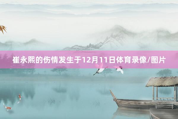 崔永熙的伤情发生于12月11日体育录像/图片