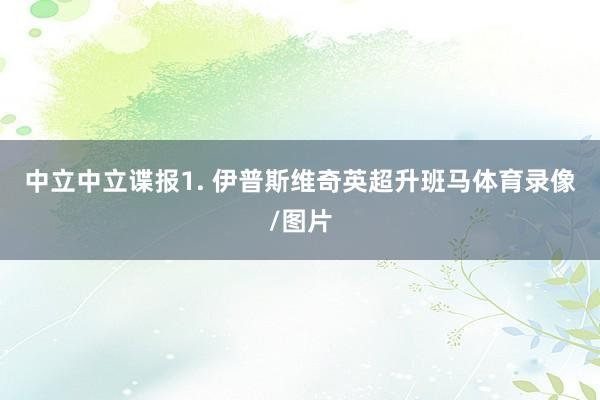 中立　　中立谍报　　1. 伊普斯维奇英超升班马体育录像/图片