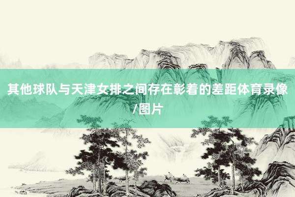 其他球队与天津女排之间存在彰着的差距体育录像/图片