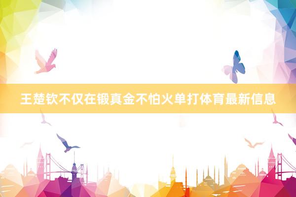 王楚钦不仅在锻真金不怕火单打体育最新信息