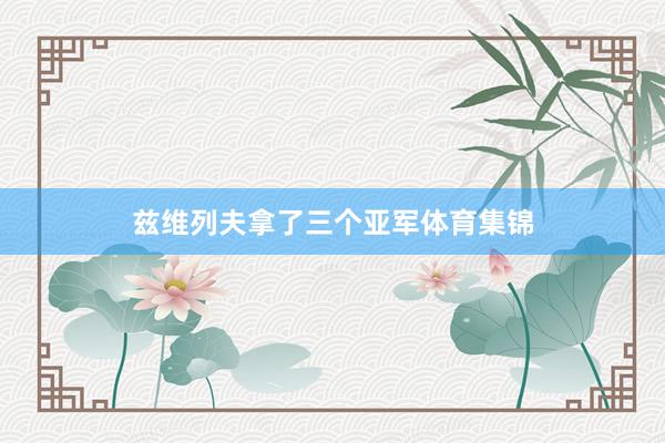 兹维列夫拿了三个亚军体育集锦