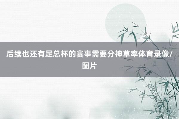 后续也还有足总杯的赛事需要分神草率体育录像/图片