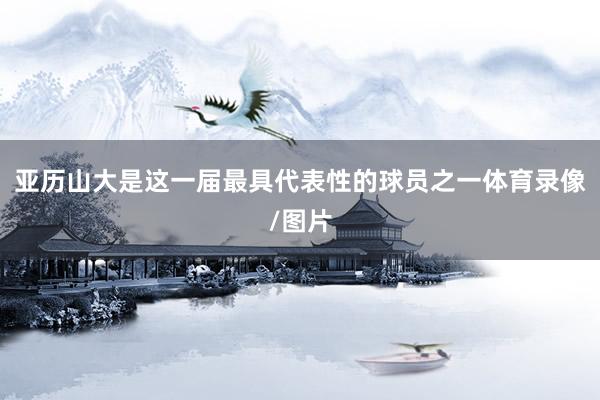 亚历山大是这一届最具代表性的球员之一体育录像/图片