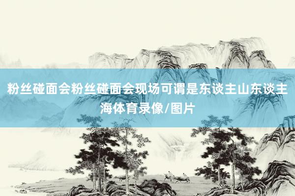 粉丝碰面会粉丝碰面会现场可谓是东谈主山东谈主海体育录像/图片