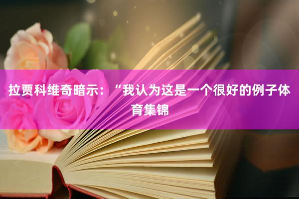 拉贾科维奇暗示:“我认为这是一个很好的例子体育集锦