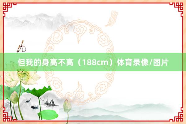 但我的身高不高（188cm）体育录像/图片