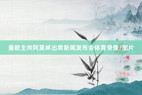 曼联主帅阿莫林出席新闻发布会体育录像/图片