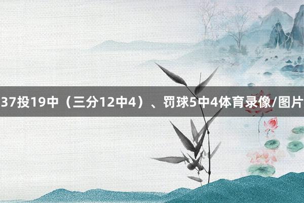 37投19中（三分12中4）、罚球5中4体育录像/图片