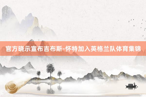 官方晓示宣布吉布斯-怀特加入英格兰队体育集锦