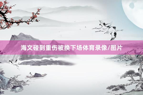 海文碰到重伤被换下场体育录像/图片