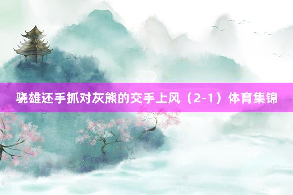 骁雄还手抓对灰熊的交手上风（2-1）体育集锦