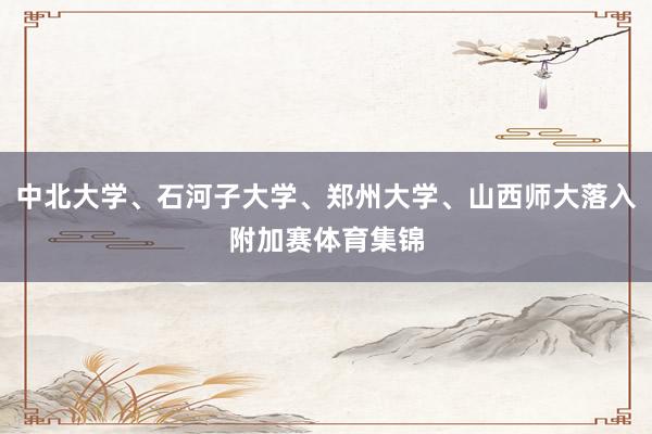 中北大学、石河子大学、郑州大学、山西师大落入附加赛体育集锦