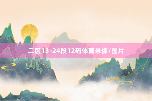 二区13-24段12码体育录像/图片