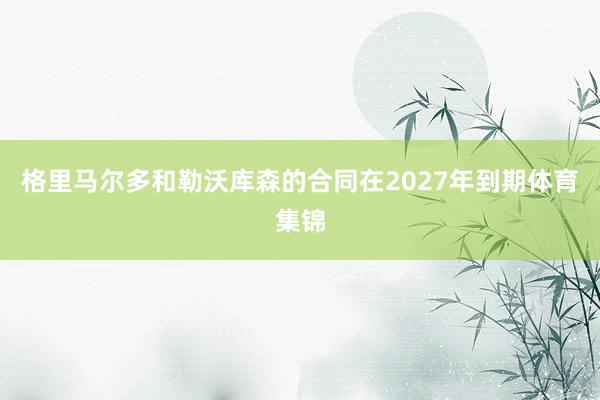 格里马尔多和勒沃库森的合同在2027年到期体育集锦
