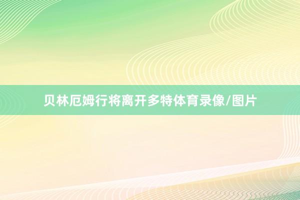 贝林厄姆行将离开多特体育录像/图片