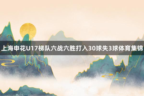 上海申花U17梯队六战六胜打入30球失3球体育集锦