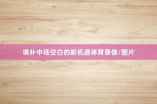 填补中场空白的新机遇体育录像/图片