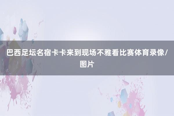 巴西足坛名宿卡卡来到现场不雅看比赛体育录像/图片
