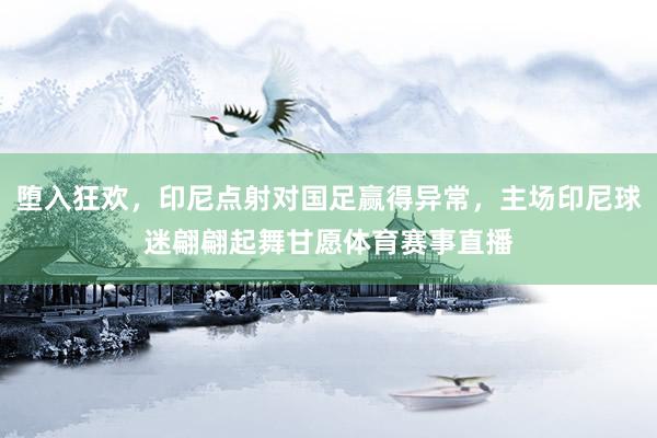 堕入狂欢,印尼点射对国足赢得异常,主场印尼球迷翩翩起舞甘愿体育赛事直播