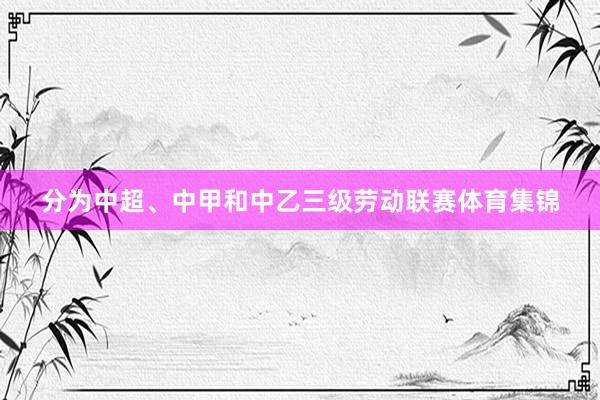 分为中超、中甲和中乙三级劳动联赛体育集锦