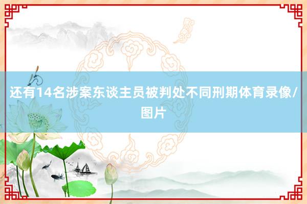 还有14名涉案东谈主员被判处不同刑期体育录像/图片