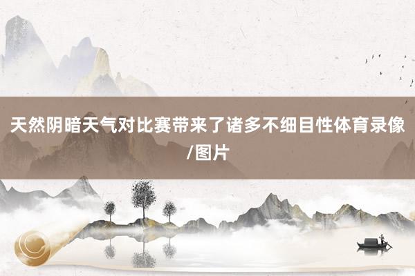 天然阴暗天气对比赛带来了诸多不细目性体育录像/图片
