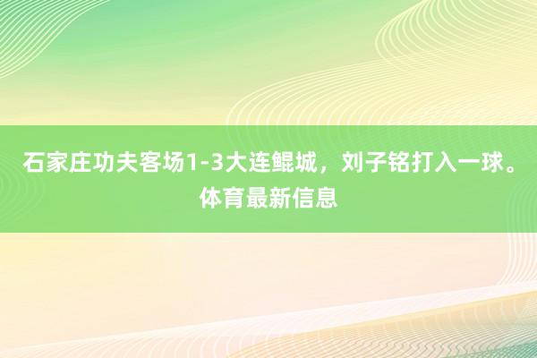 石家庄功夫客场1-3大连鲲城，刘子铭打入一球。体育最新信息