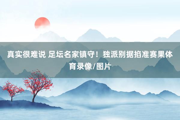 真实很难说 　　足坛名家镇守！独派别据掐准赛果体育录像/图片