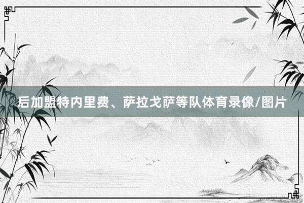 后加盟特内里费、萨拉戈萨等队体育录像/图片