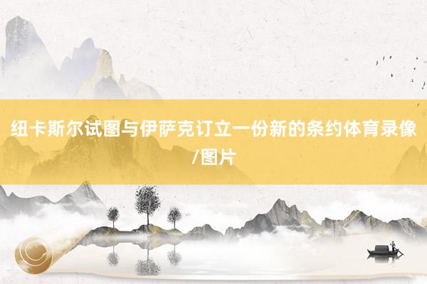 纽卡斯尔试图与伊萨克订立一份新的条约体育录像/图片