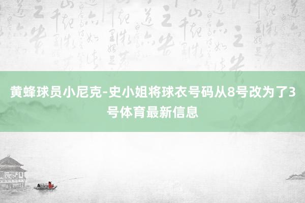 黄蜂球员小尼克-史小姐将球衣号码从8号改为了3号体育最新信息