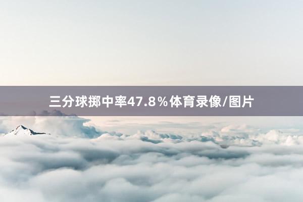 三分球掷中率47.8%体育录像/图片