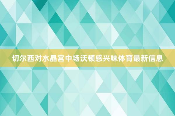 切尔西对水晶宫中场沃顿感兴味体育最新信息