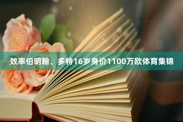 效率伯明翰、多特16岁身价1100万欧体育集锦