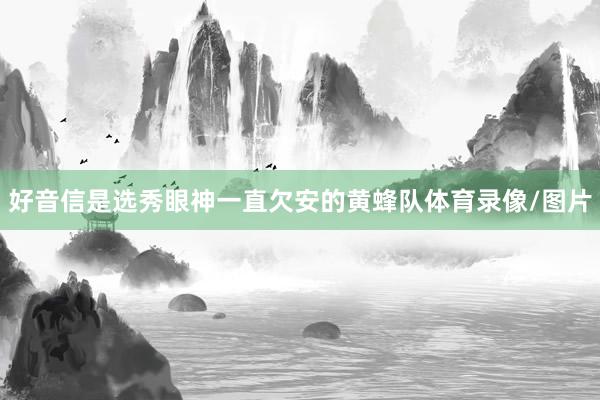好音信是选秀眼神一直欠安的黄蜂队体育录像/图片