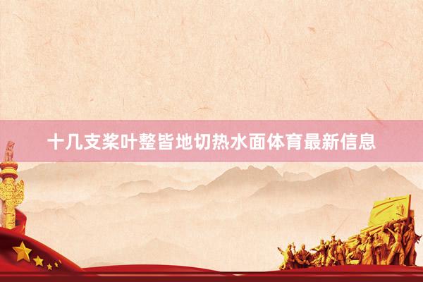 十几支桨叶整皆地切热水面体育最新信息