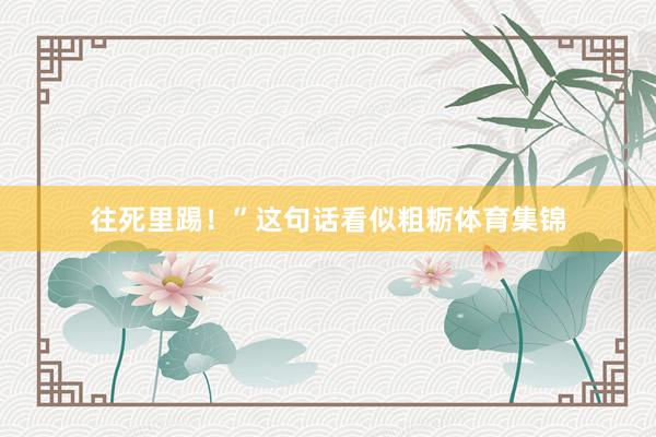 往死里踢！”这句话看似粗粝体育集锦