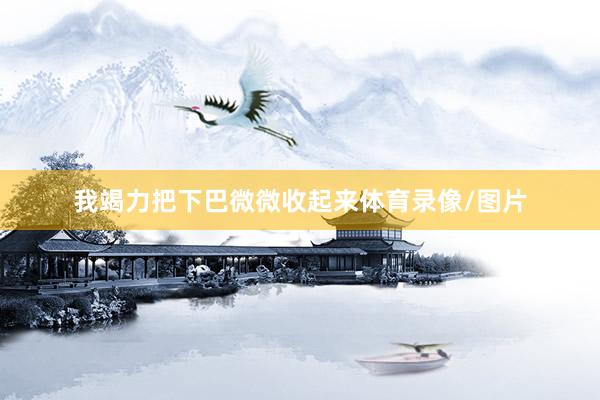 我竭力把下巴微微收起来体育录像/图片