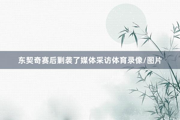东契奇赛后剿袭了媒体采访体育录像/图片