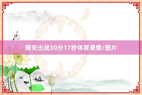 锡安出战30分17秒体育录像/图片