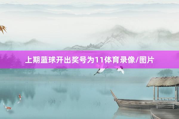 上期蓝球开出奖号为11体育录像/图片