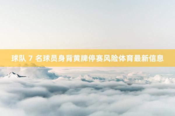 球队 7 名球员身背黄牌停赛风险体育最新信息