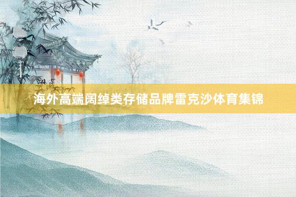 海外高端阔绰类存储品牌雷克沙体育集锦