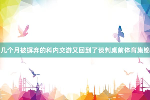 几个月被摒弃的科内交游又回到了谈判桌前体育集锦