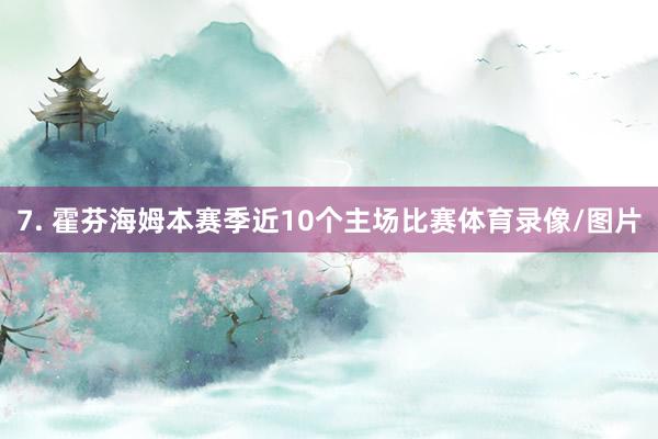 7. 霍芬海姆本赛季近10个主场比赛体育录像/图片