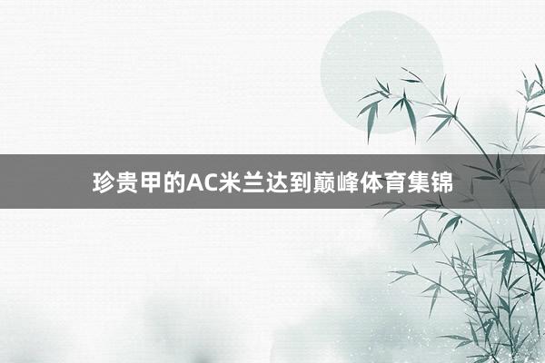 珍贵甲的AC米兰达到巅峰体育集锦