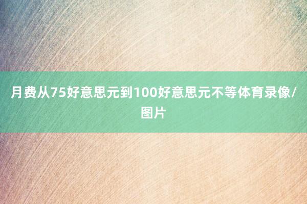 月费从75好意思元到100好意思元不等体育录像/图片