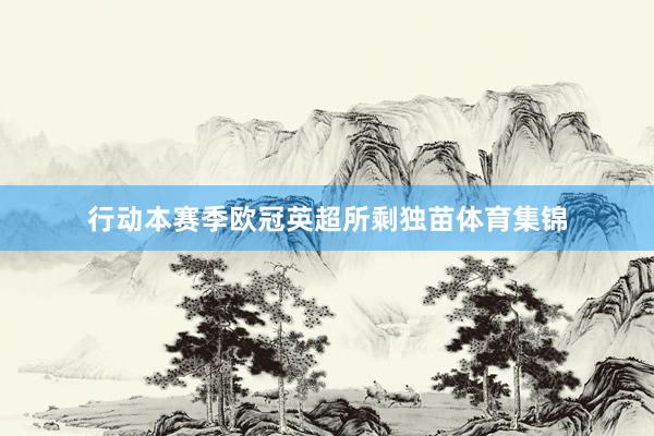 行动本赛季欧冠英超所剩独苗体育集锦