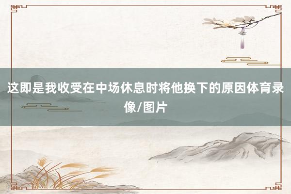 这即是我收受在中场休息时将他换下的原因体育录像/图片